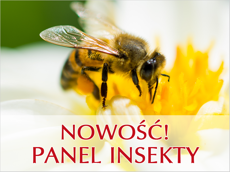 Panel INSEKTY