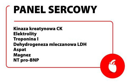 badania na serce